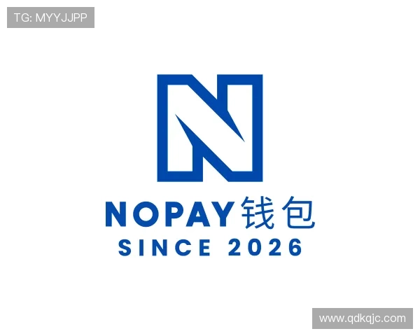 发现NOPAY钱包