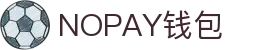 NOPAY钱包 - 数字钱包支付平台|安全便捷的移动支付